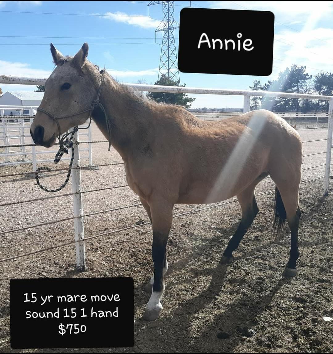 Annie Lot Photo